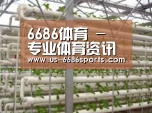 环境展示六