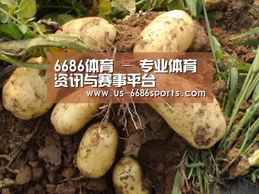 种植基地六